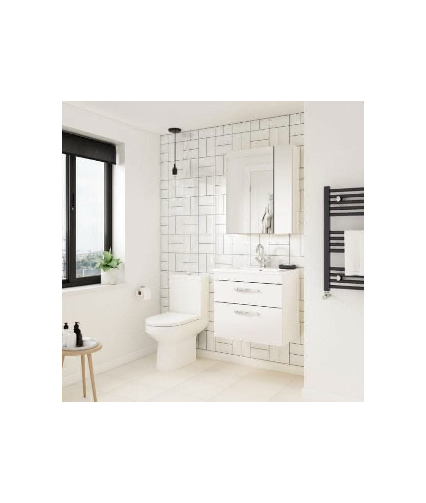500 WH 2-Drawer Vanity & Basin 2