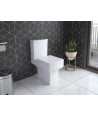 Belfort Ceramic Close Coupled Toilet - White