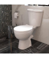 Basix Ceramic Close Coupled Toilet - White