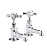Nuie Beaumont Basin Pillar Taps - Chrome