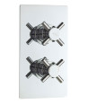 Hudson Reed Tec Crosshead Twin Thermostatic Shower Valve and 2 Crosshead Handles, Best Brass Build Concealed Fit Bathroom Sho...