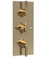 Hudson Reed Tec Pura Triple Thermostatic Shower Valve, Minimalist Sleek Design, Bathroom Accessories, Brushed Brass