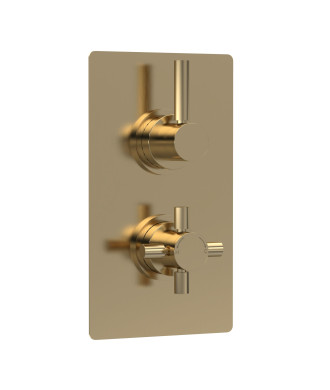 Hudson Reed Tec Pura Twin Thermostatic Shower Valve, Minimalist Sleek Design, Thermostatic Shower, Brushed Brass