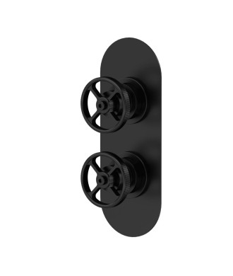 Hudson Reed Industrial Twin Thermostatic Concealed Shower Valve with Diverter, Durable Round Backplate 2 Crosshead Handle wit...