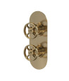 Hudson Reed Industrial Twin Thermostatic Concealed Shower Valve with Diverter, Durable Round Backplate 2 Crosshead Handle wit...